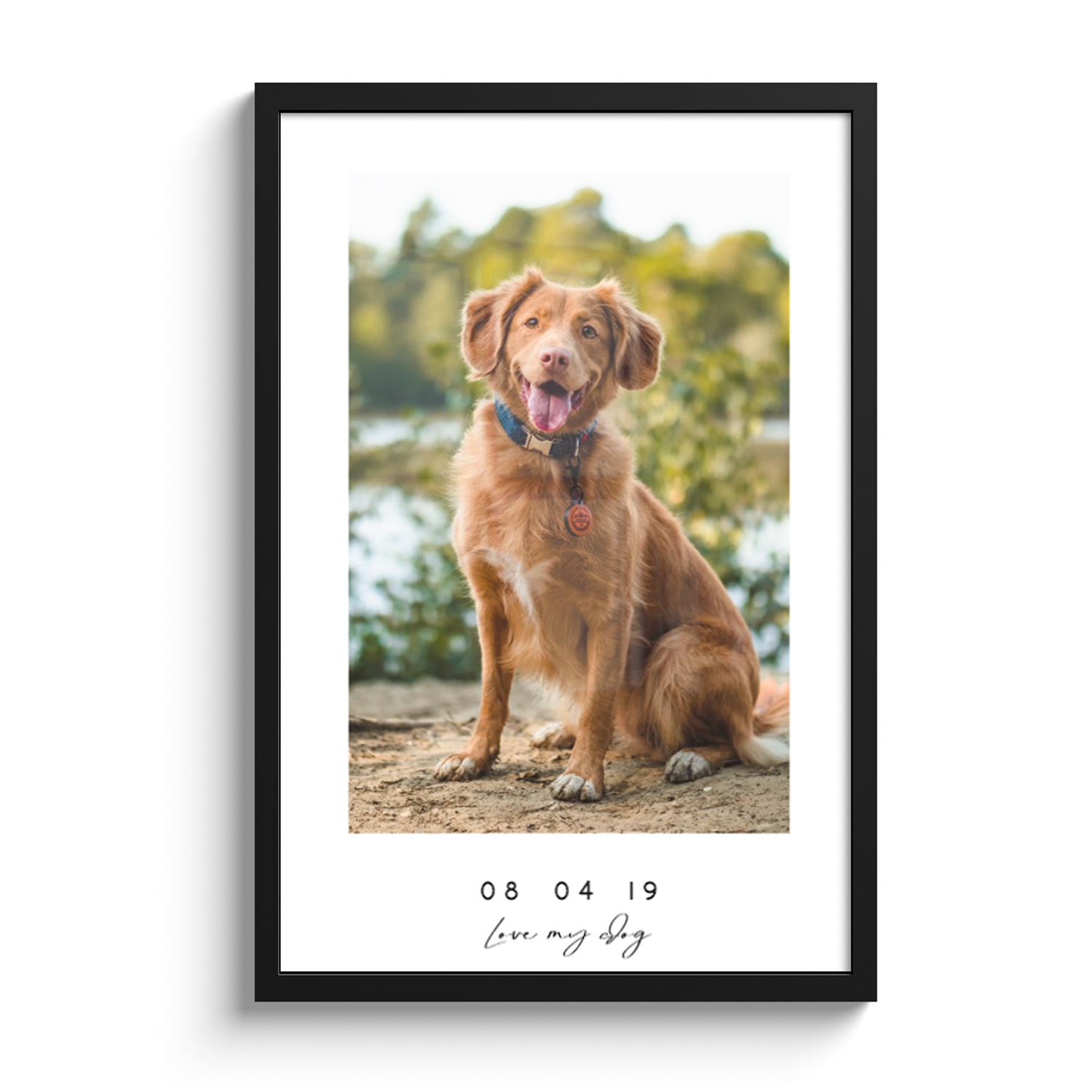 Personalisierte poster Hund & Katze