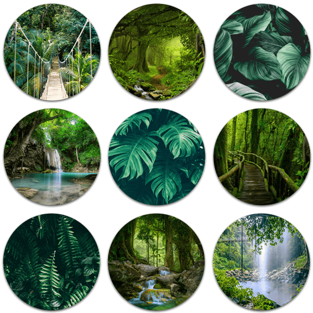 Runde Bilder Dschungel